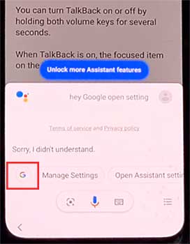 Open the Google Search application